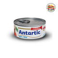 Atún Antartic lomitos en agua 140gr - 48 unidades